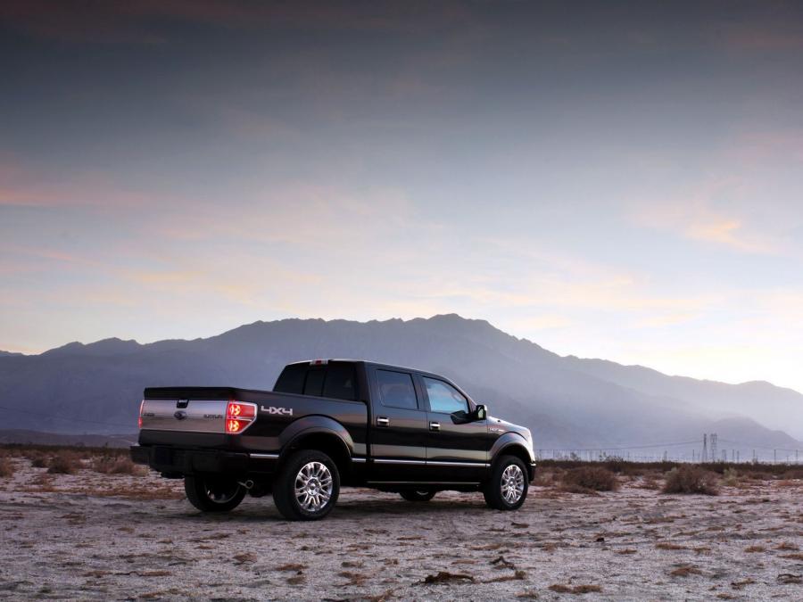  Ford F-150 Platinum 2008 года  (фото 6 из 19)